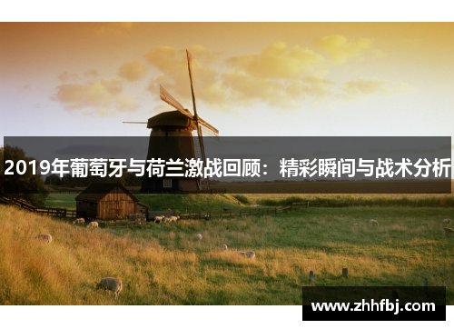 2019年葡萄牙与荷兰激战回顾：精彩瞬间与战术分析